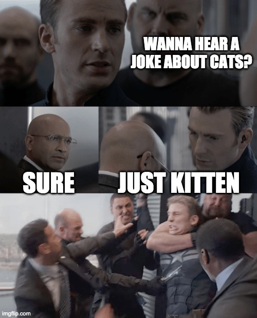 I hate that joke | WANNA HEAR A JOKE ABOUT CATS? SURE; JUST KITTEN | image tagged in captain america elevator | made w/ Imgflip meme maker