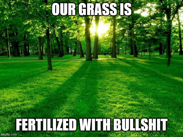 Greener grass | OUR GRASS IS FERTILIZED WITH BULLSHIT | image tagged in greener grass | made w/ Imgflip meme maker
