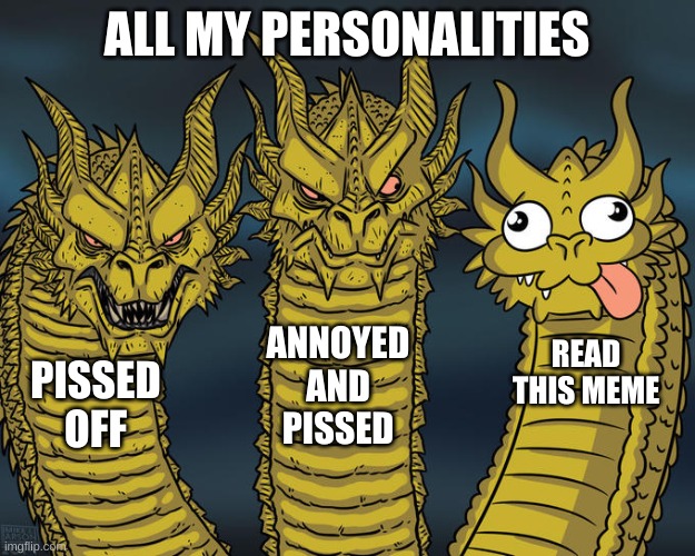Three-headed Dragon | ALL MY PERSONALITIES; ANNOYED AND PISSED; READ THIS MEME; PISSED OFF | image tagged in three-headed dragon | made w/ Imgflip meme maker