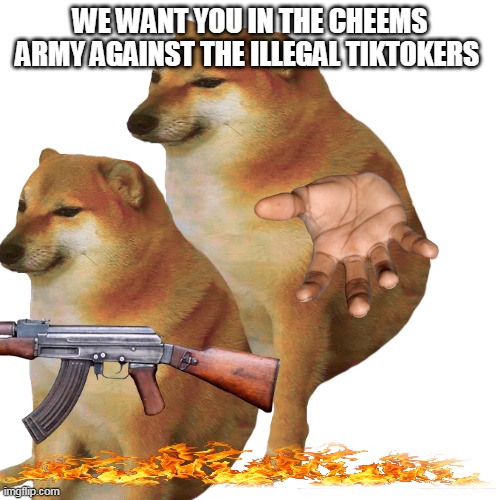 WE WANT YOU IN THE CHEEMS ARMY AGAINST THE ILLEGAL TIKTOKERS | image tagged in memes | made w/ Imgflip meme maker