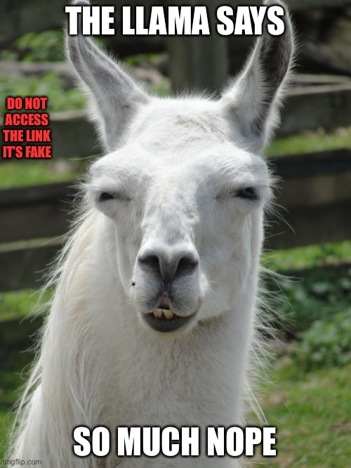 Oh Hell No | THE LLAMA SAYS SO MUCH NOPE DO NOT ACCESS THE LINK IT’S FAKE | image tagged in oh hell no | made w/ Imgflip meme maker