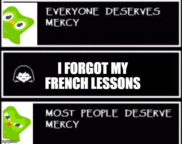 Everyone Deserves Mercy | I FORGOT MY FRENCH LESSONS | image tagged in everyone deserves mercy,memes,duolingo,duolingo bird | made w/ Imgflip meme maker