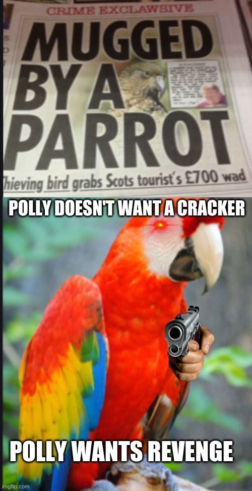 PARROT UPRISING JOIN THE PARROT | POLLY DOESN'T WANT A CRACKER; POLLY WANTS REVENGE | image tagged in funny,stupid | made w/ Imgflip meme maker