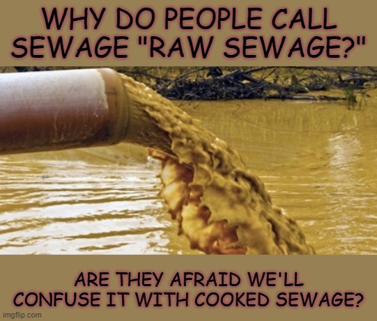 Question... | WHY DO PEOPLE CALL SEWAGE "RAW SEWAGE?"; ARE THEY AFRAID WE'LL CONFUSE IT WITH COOKED SEWAGE? | image tagged in sewage pipe,sewer | made w/ Imgflip meme maker