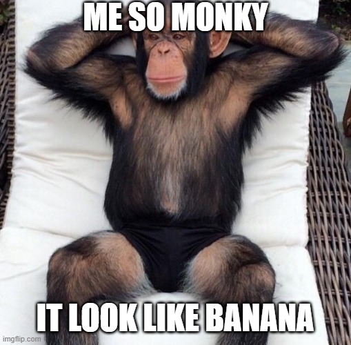 Monky | ME SO MONKY IT LOOK LIKE BANANA | image tagged in monky | made w/ Imgflip meme maker