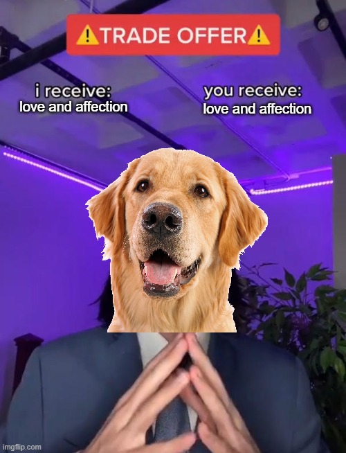 dogggo | love and affection; love and affection | image tagged in trade offer | made w/ Imgflip meme maker