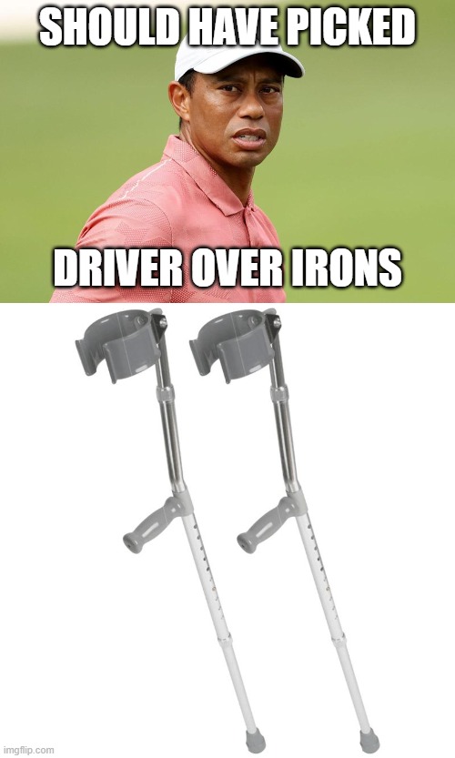 tiger | SHOULD HAVE PICKED; DRIVER OVER IRONS | image tagged in tiger,crash | made w/ Imgflip meme maker