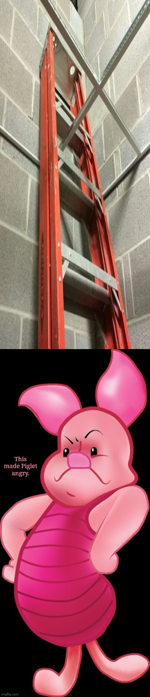 A stuck ladder | image tagged in this made piglet angry,you had one job,memes,fails,ladder,ladders | made w/ Imgflip meme maker