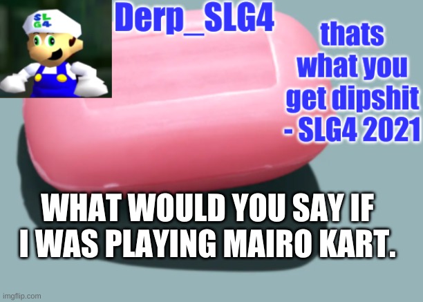 Derp_SLG4 tempo | WHAT WOULD YOU SAY IF I WAS PLAYING MAIRO KART. | image tagged in derp_slg4 tempo | made w/ Imgflip meme maker