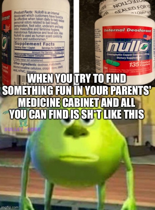 WHEN YOU TRY TO FIND SOMETHING FUN IN YOUR PARENTS' MEDICINE CABINET AND ALL YOU CAN FIND IS SH*T LIKE THIS | image tagged in monsters inc,weird stuff,medicine,cabinet,prescription,drugs | made w/ Imgflip meme maker