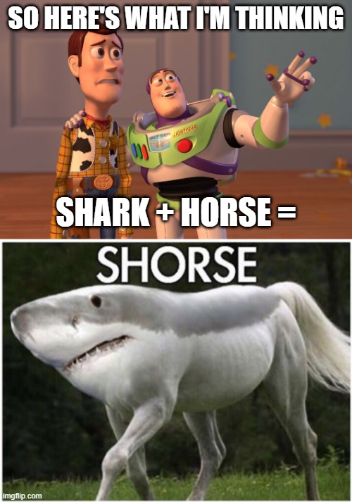 Combine like terms | SO HERE'S WHAT I'M THINKING; SHARK + HORSE = | image tagged in memes,x x everywhere | made w/ Imgflip meme maker