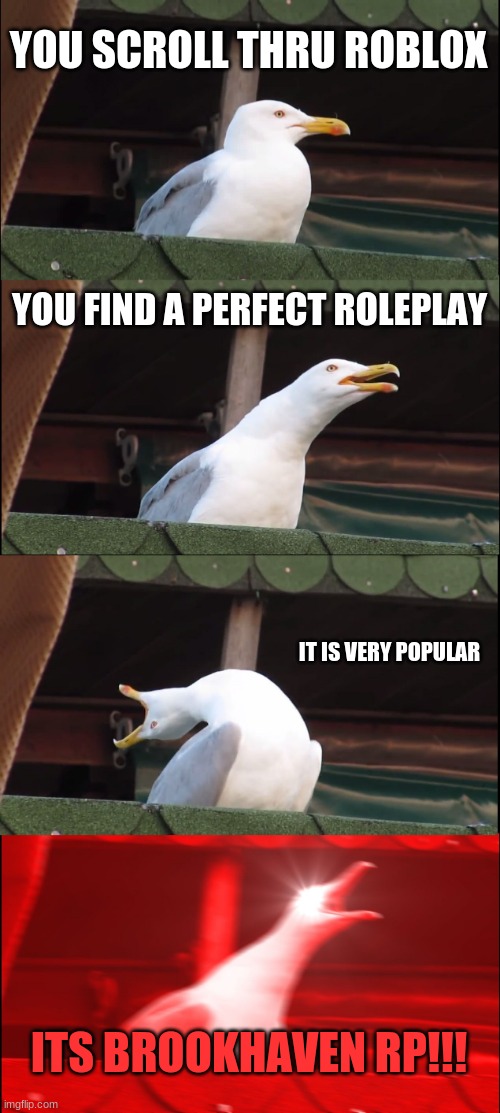 Lol is this true for y'all | YOU SCROLL THRU ROBLOX; YOU FIND A PERFECT ROLEPLAY; IT IS VERY POPULAR; ITS BROOKHAVEN RP!!! | image tagged in memes,inhaling seagull | made w/ Imgflip meme maker