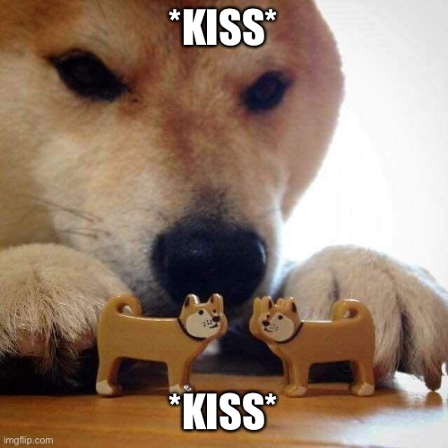 dog now kiss  | *KISS*; *KISS* | image tagged in dog now kiss | made w/ Imgflip meme maker