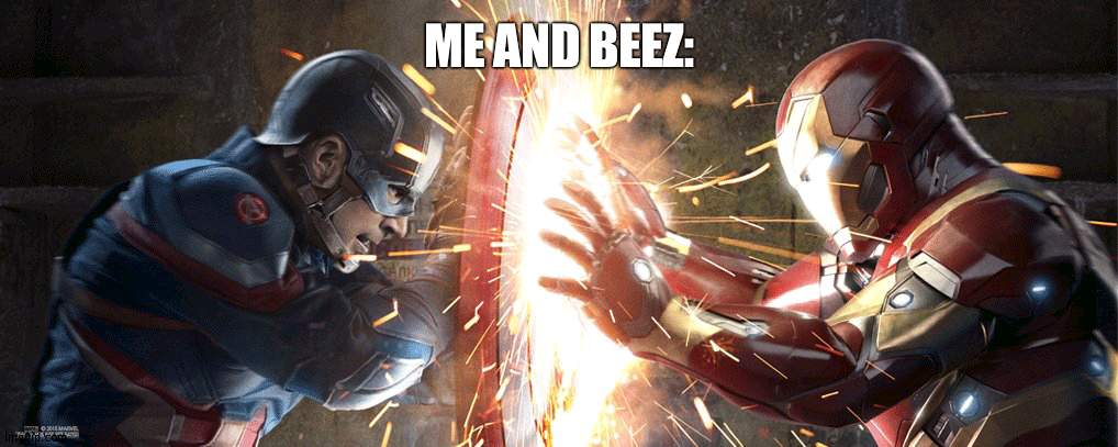 At meme tournament: Me 11 Beez 9 | ME AND BEEZ: | image tagged in marvel civil war,tournament,upvotes | made w/ Imgflip meme maker