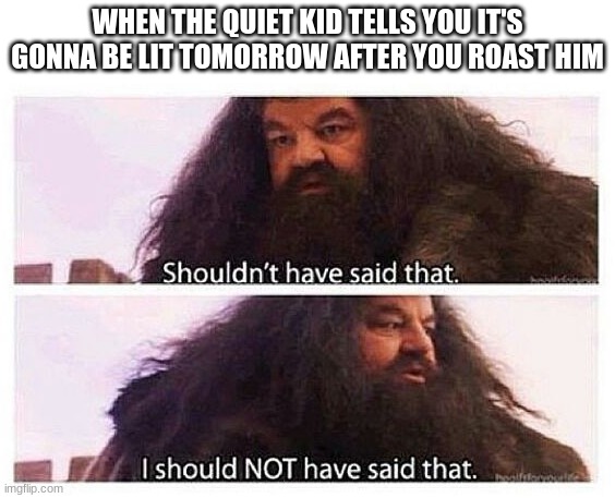Hagrid shouldn't have said that | WHEN THE QUIET KID TELLS YOU IT'S GONNA BE LIT TOMORROW AFTER YOU ROAST HIM | image tagged in hagrid shouldn't have said that | made w/ Imgflip meme maker