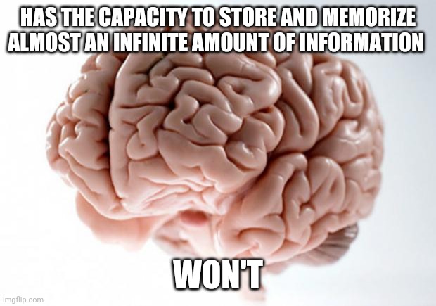 Scumbag Brain | HAS THE CAPACITY TO STORE AND MEMORIZE ALMOST AN INFINITE AMOUNT OF INFORMATION; WON'T | image tagged in scumbag brain,memes | made w/ Imgflip meme maker