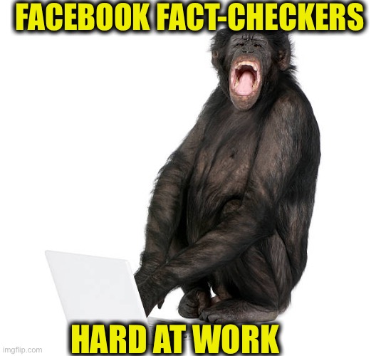 Facebook fact-checkers | FACEBOOK FACT-CHECKERS; HARD AT WORK | image tagged in facebook,fact check,memes | made w/ Imgflip meme maker