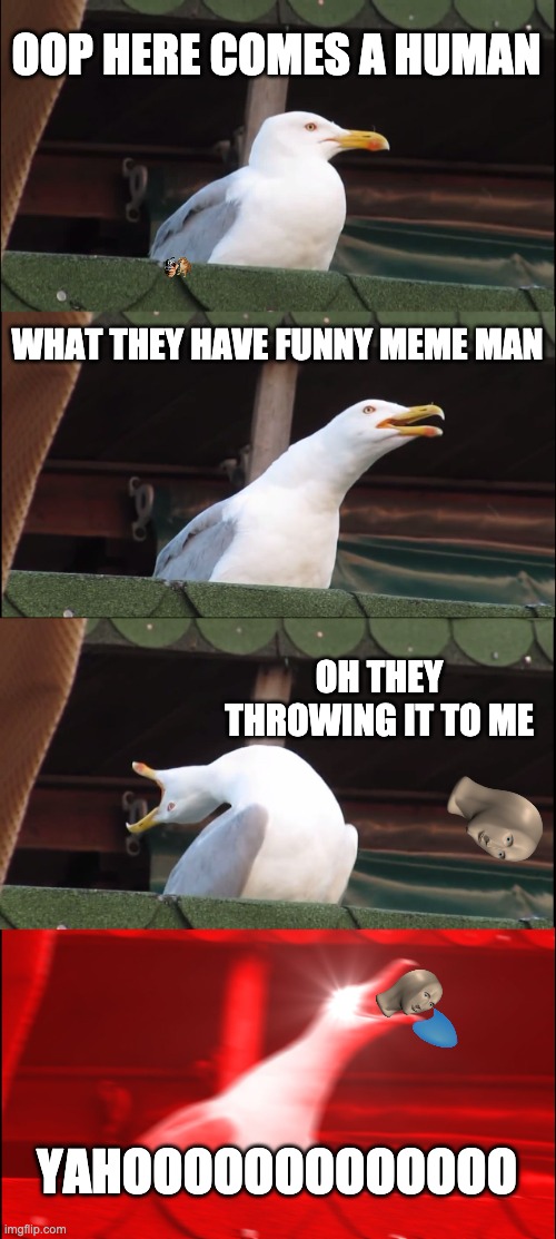 Inhaling Seagull | OOP HERE COMES A HUMAN; WHAT THEY HAVE FUNNY MEME MAN; OH THEY THROWING IT TO ME; YAHOOOOOOOOOOOOO | image tagged in memes,inhaling seagull | made w/ Imgflip meme maker