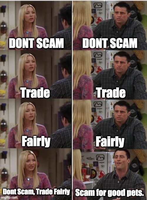 Roblox Adopt me in a nutshell | DONT SCAM; DONT SCAM; Trade; Trade; Fairly; Fairly; Dont Scam, Trade Fairly; Scam for good pets. | image tagged in phoebe joey | made w/ Imgflip meme maker