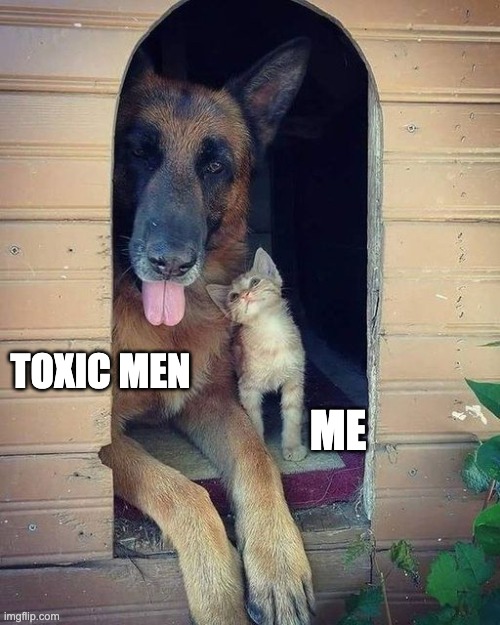 Toxic Men & Me | TOXIC MEN; ME | image tagged in funny memes | made w/ Imgflip meme maker