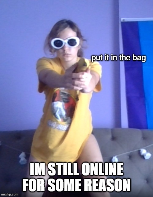 put it in the bag | IM STILL ONLINE FOR SOME REASON | image tagged in put it in the bag | made w/ Imgflip meme maker