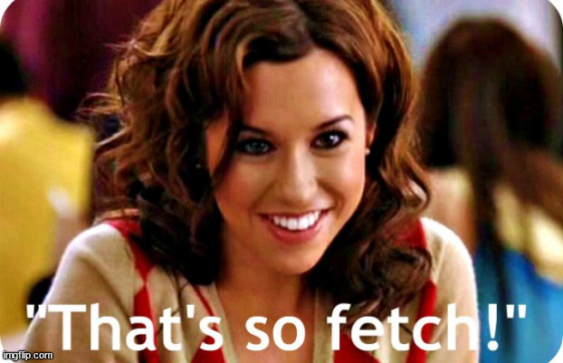 That is so fetch | image tagged in that is so fetch | made w/ Imgflip meme maker