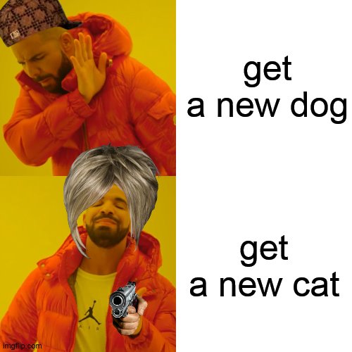 Drake Hotline Bling Meme | get a new dog; get a new cat | image tagged in memes,drake hotline bling | made w/ Imgflip meme maker