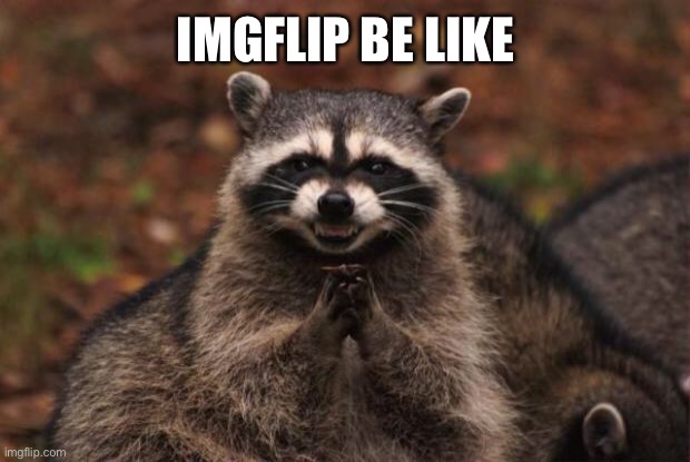 evil genius racoon | IMGFLIP BE LIKE | image tagged in evil genius racoon | made w/ Imgflip meme maker