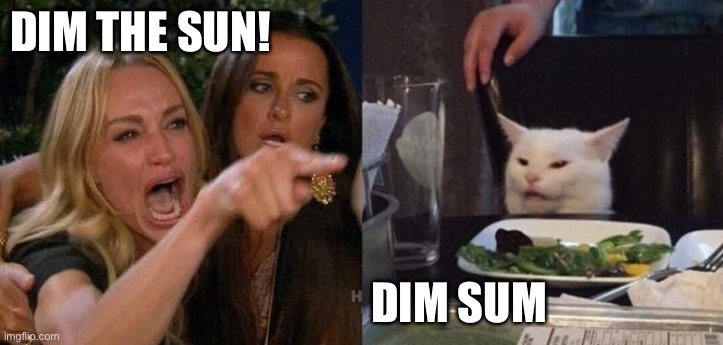 Dim the sun | DIM THE SUN! DIM SUM | image tagged in woman yelling at smudge the cat | made w/ Imgflip meme maker