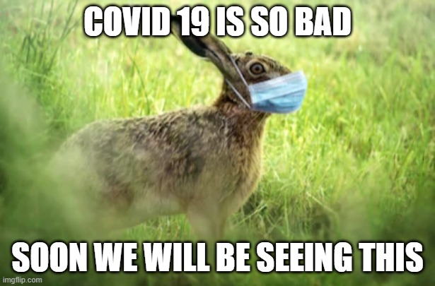Corona Bunny | COVID 19 IS SO BAD; SOON WE WILL BE SEEING THIS | image tagged in corona bunny | made w/ Imgflip meme maker