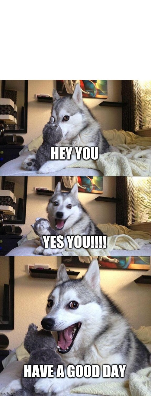 Bad Pun Dog Meme | HEY YOU; YES YOU!!!! HAVE A GOOD DAY | image tagged in memes,bad pun dog | made w/ Imgflip meme maker