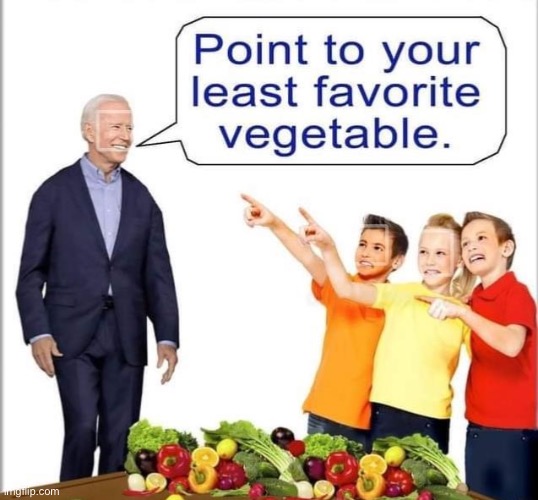 Brain dead Biden | image tagged in brain dead | made w/ Imgflip meme maker