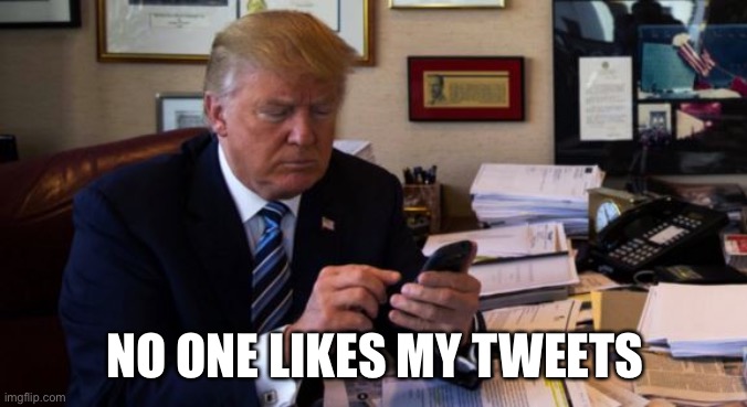 Trump Tweeting | NO ONE LIKES MY TWEETS | image tagged in trump tweeting | made w/ Imgflip meme maker