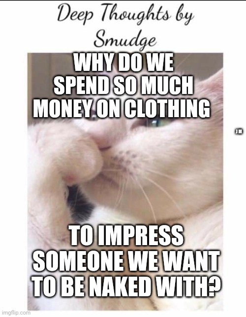Smudge | WHY DO WE SPEND SO MUCH MONEY ON CLOTHING; J M; TO IMPRESS SOMEONE WE WANT TO BE NAKED WITH? | image tagged in smudge | made w/ Imgflip meme maker
