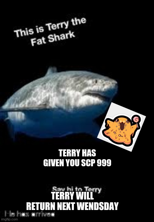 we got scp 999 bois | TERRY HAS GIVEN YOU SCP 999; TERRY WILL RETURN NEXT WENDSDAY | image tagged in terry the fat shark | made w/ Imgflip meme maker