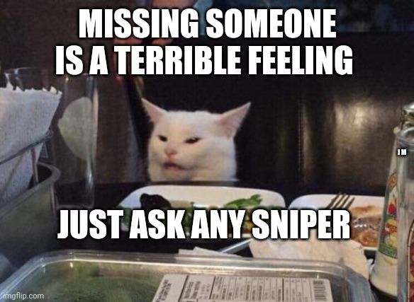 Salad cat | MISSING SOMEONE IS A TERRIBLE FEELING; J M; JUST ASK ANY SNIPER | image tagged in salad cat | made w/ Imgflip meme maker