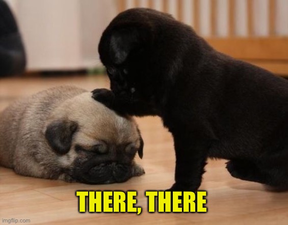 there there | THERE, THERE | image tagged in there there | made w/ Imgflip meme maker