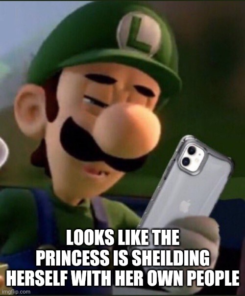 LOOKS LIKE THE PRINCESS IS SHEILDING HERSELF WITH HER OWN PEOPLE | made w/ Imgflip meme maker