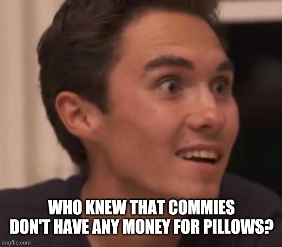 David hogg | WHO KNEW THAT COMMIES DON'T HAVE ANY MONEY FOR PILLOWS? | image tagged in david hogg | made w/ Imgflip meme maker