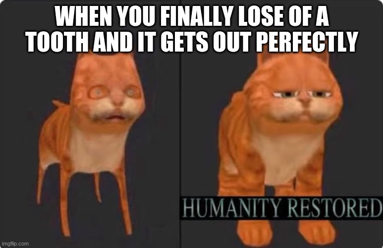 I love when that shit happens. | WHEN YOU FINALLY LOSE OF A TOOTH AND IT GETS OUT PERFECTLY | image tagged in humanity restored | made w/ Imgflip meme maker
