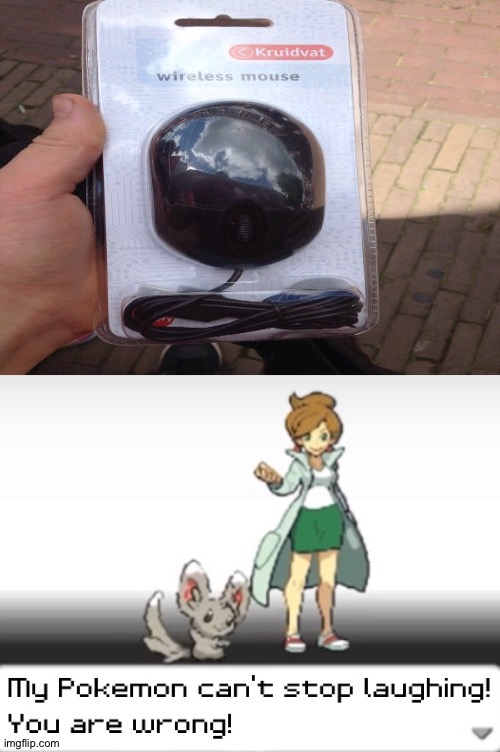 Wireless mouse | image tagged in my pokemon can't stop laughing you are wrong,memes,funny,gifs,cats,dogs | made w/ Imgflip meme maker