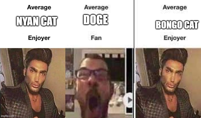 yes this makes sense | NYAN CAT; DOGE; BONGO CAT | image tagged in average fan vs average enjoyer,fan vs enjoyer,memes,bongo cat,nyan cat,funny cat memes | made w/ Imgflip meme maker