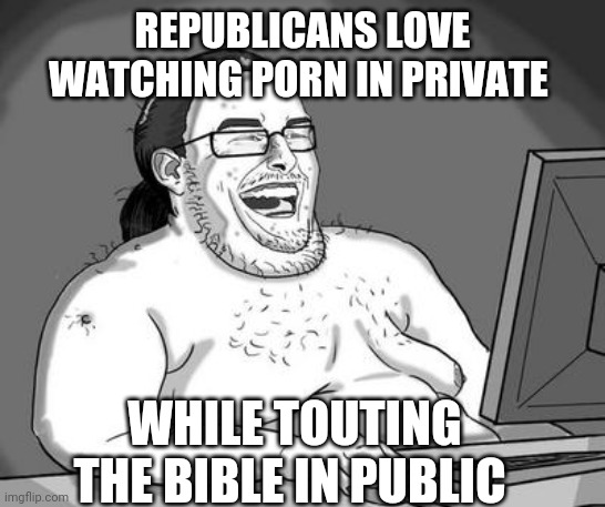 Basement dweller | REPUBLICANS LOVE WATCHING PORN IN PRIVATE WHILE TOUTING THE BIBLE IN PUBLIC | image tagged in basement dweller | made w/ Imgflip meme maker