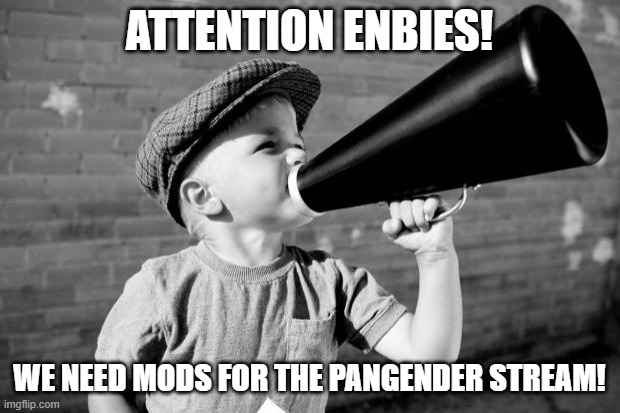If you're Non-Binary, You'll be a mod! | ATTENTION ENBIES! WE NEED MODS FOR THE PANGENDER STREAM! | image tagged in megaphone,mod,pangender,non binary | made w/ Imgflip meme maker