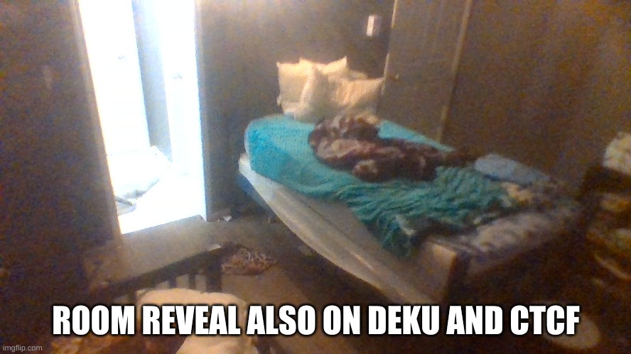 ROOM REVEAL ALSO ON DEKU AND CTCF | made w/ Imgflip meme maker