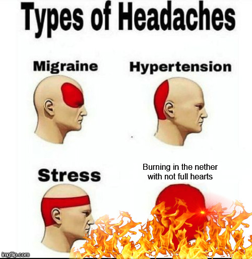 he is left with 5 hearts and he is burning!!! | Burning in the nether with not full hearts | image tagged in types of headaches meme,burning,minecraft | made w/ Imgflip meme maker