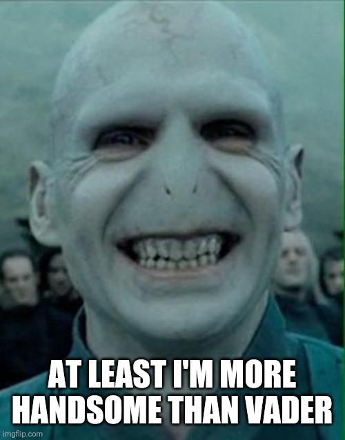 Voldemort Grin | AT LEAST I'M MORE HANDSOME THAN VADER | image tagged in voldemort grin | made w/ Imgflip meme maker