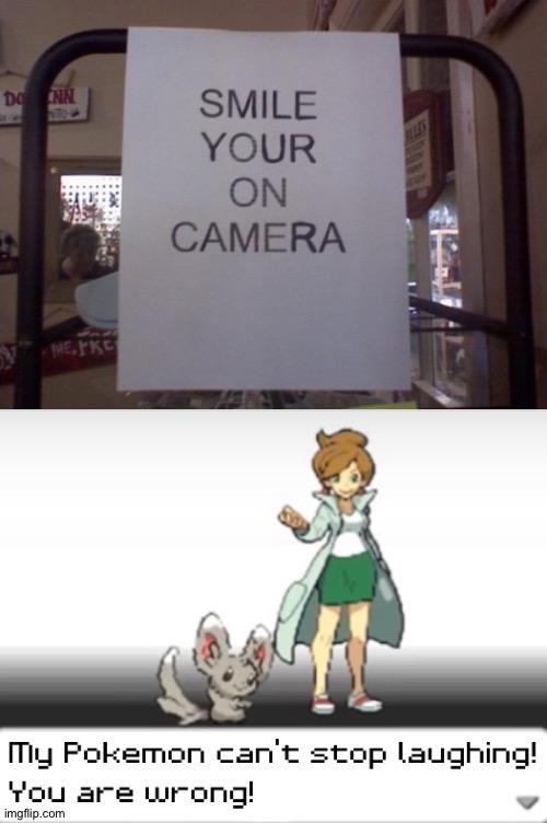 Somebody needs to go to grammar school | image tagged in my pokemon can't stop laughing you are wrong,memes,funny,you had one job,task failed successfully,grammar | made w/ Imgflip meme maker