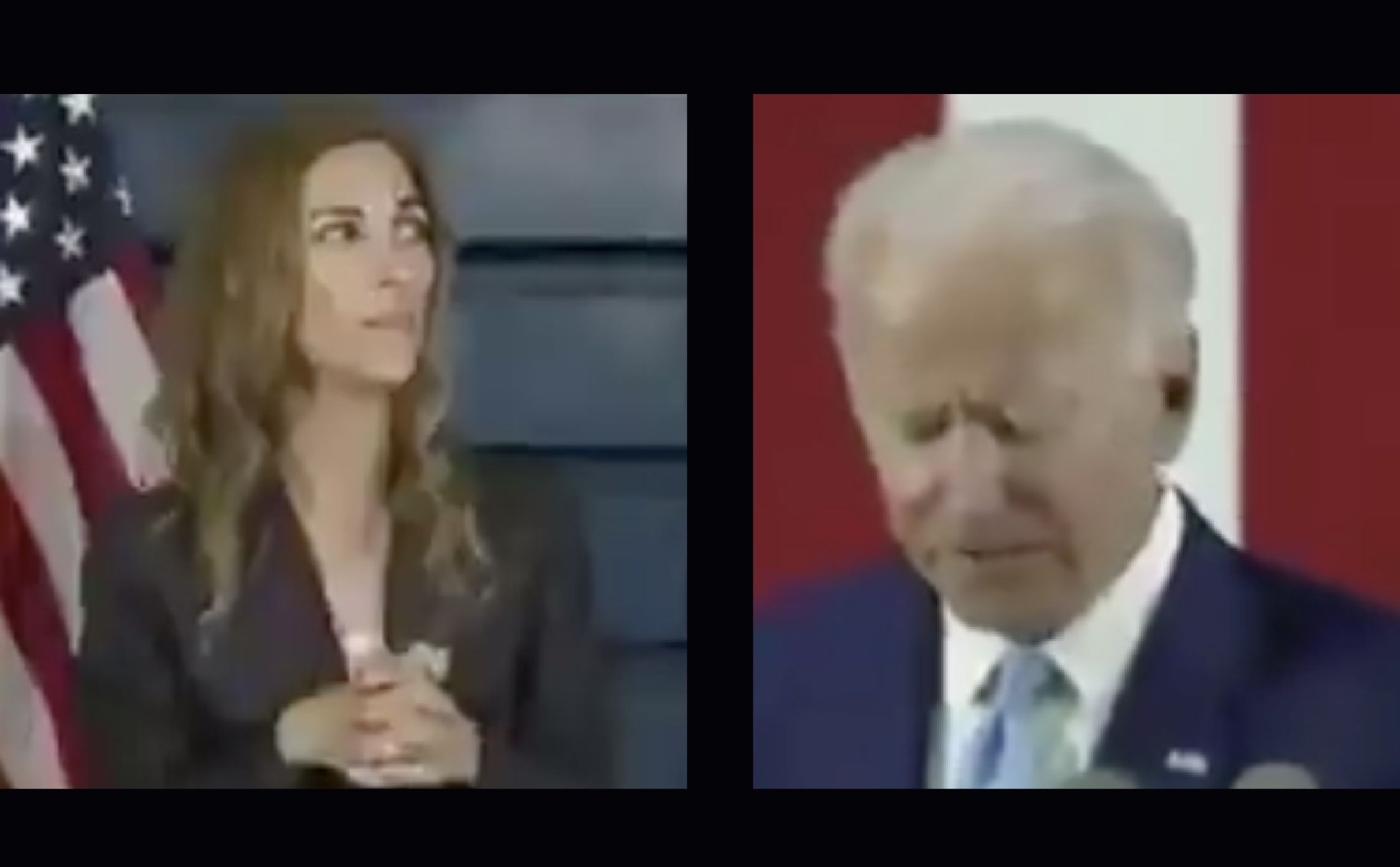 Sloe Biden's Sign Language Translator Blank Meme Template