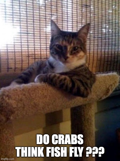 The Most Interesting Cat In The World | DO CRABS THINK FISH FLY ??? | image tagged in memes,the most interesting cat in the world | made w/ Imgflip meme maker